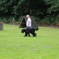 www_IMG_1772