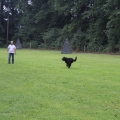 www_IMG_1775