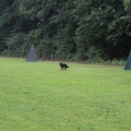 www_IMG_1787