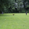 www_IMG_1798