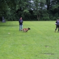 www_IMG_1804
