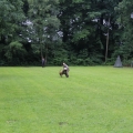 www_IMG_1811