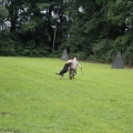 www_IMG_1822