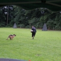www_IMG_1836