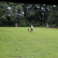 www_IMG_1841