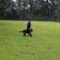 www_IMG_1866