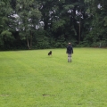 www_IMG_1967