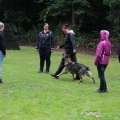 www_IMG_1985