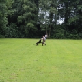 www_IMG_2015