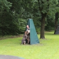 www_IMG_2029