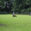 www_IMG_2038