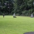 www_IMG_2053