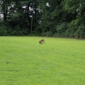 www_IMG_2167
