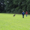 www_IMG_2185