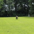 www_IMG_2223