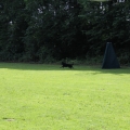 www_IMG_2233