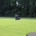 www_IMG_2253
