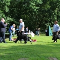 www_IMG_2346