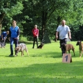 www_IMG_2356