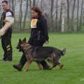comp_IMGP5692