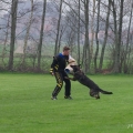 comp_IMGP6319