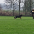 comp_IMGP6581