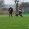 comp_IMGP6622