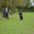 bild016
