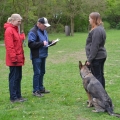 bild029