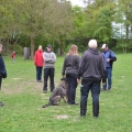 bild031