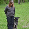 bild037