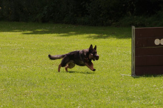 pokalkampf080