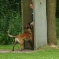 pokalkampf022