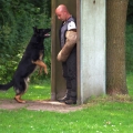 pokalkampf024