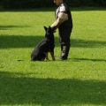 pokalkampf025
