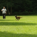 pokalkampf032