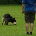 pokalkampf045