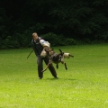 pokalkampf056