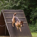pokalkampf072