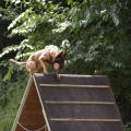 pokalkampf077