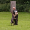 pokalkampf084