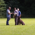 pokalkampf087