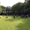 pokalkampf094