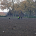 hp2012_008