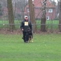 comp_IMGP7255
