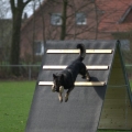 comp_IMGP7369