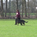 comp_IMGP7416