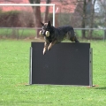 comp_IMGP7446