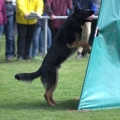 comp_IMGP7478