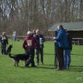 comp_IMGP7549